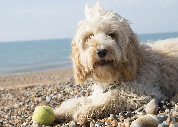 Casa vacanze Insel-reetkate Auf *