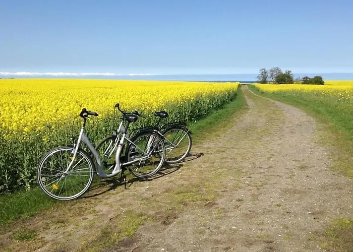 Insel-reetkate Auf Casa vacanze